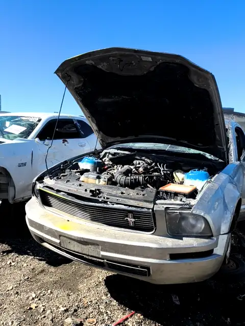 Photo of 2008 Ford Mustang