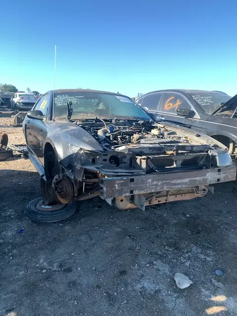Photo of 1999 Ford Mustang