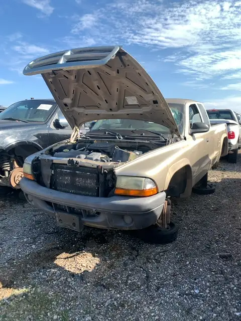 Photo of 2004 Dodge Dakota