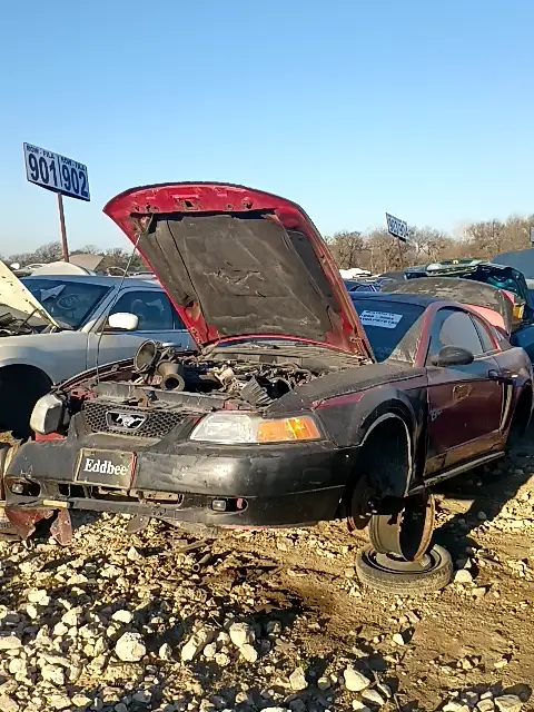 Photo of 1999 Ford Mustang