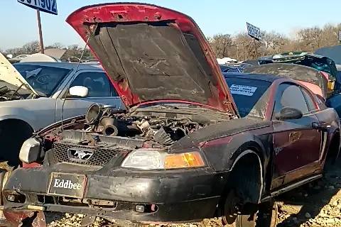 Photo of 1999 Ford Mustang