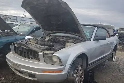 Photo of 2006 Ford Mustang