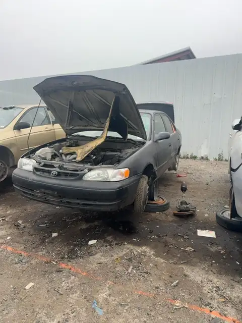 Photo of 1999 Toyota Corolla