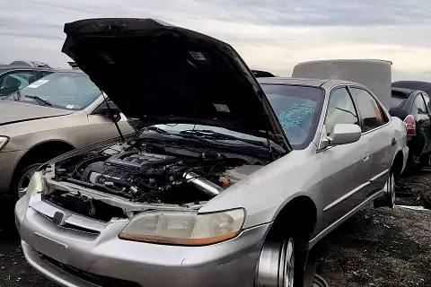 Photo of 1999 Honda Accord