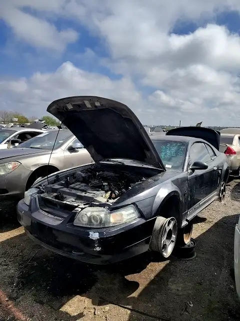 Photo of 1999 Ford Mustang