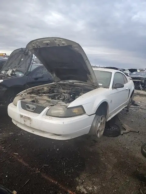 Photo of 2003 Ford Mustang