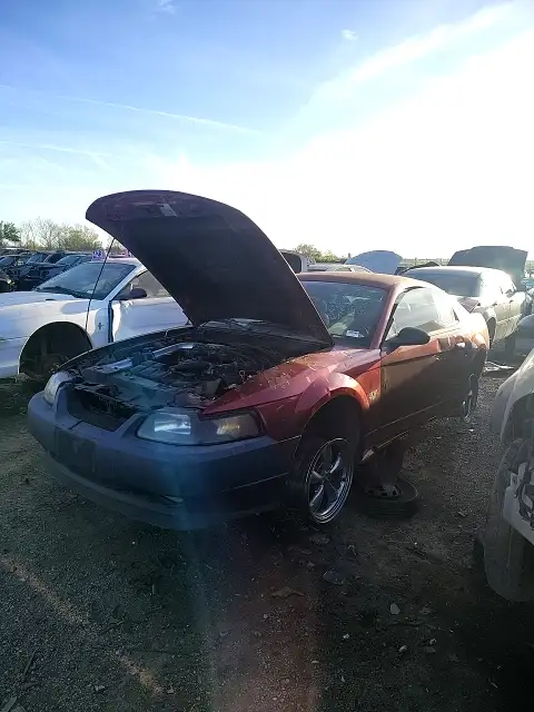 Photo of 2001 Ford Mustang