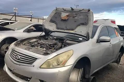 Photo of 2011 Infiniti G25