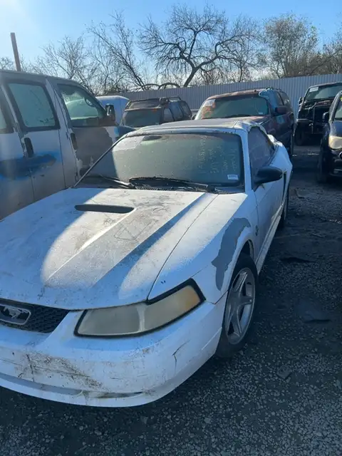 Photo of 1999 Ford Mustang