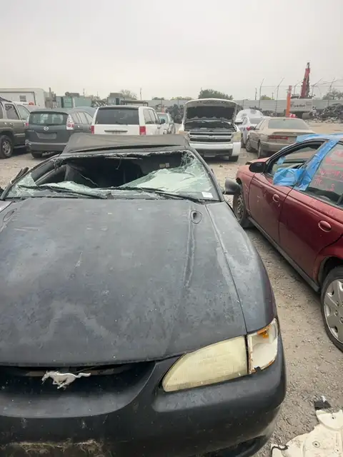 Photo of 1998 Ford Mustang