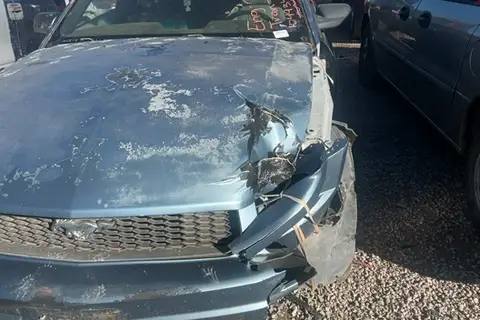 Photo of 2007 Ford Mustang