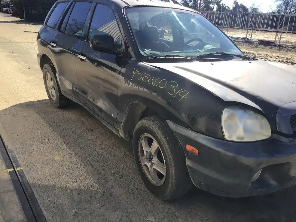 Photo of 2004 Hyundai Santa Fe