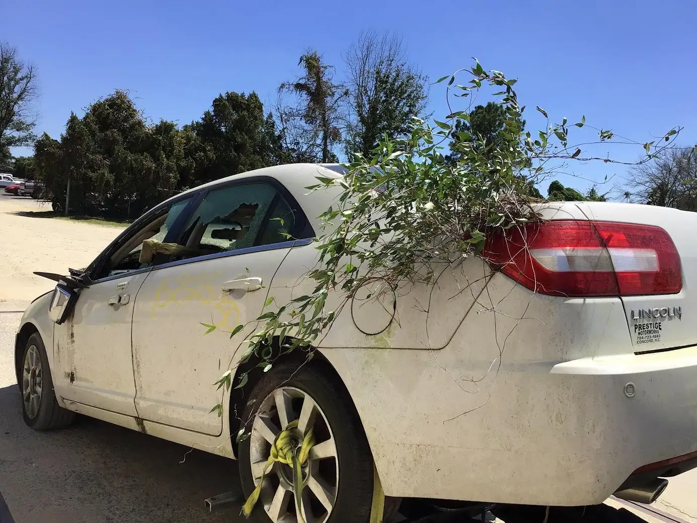 Photo of 2008 Lincoln Mkz