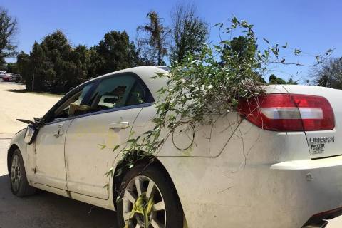Photo of 2008 Lincoln Mkz
