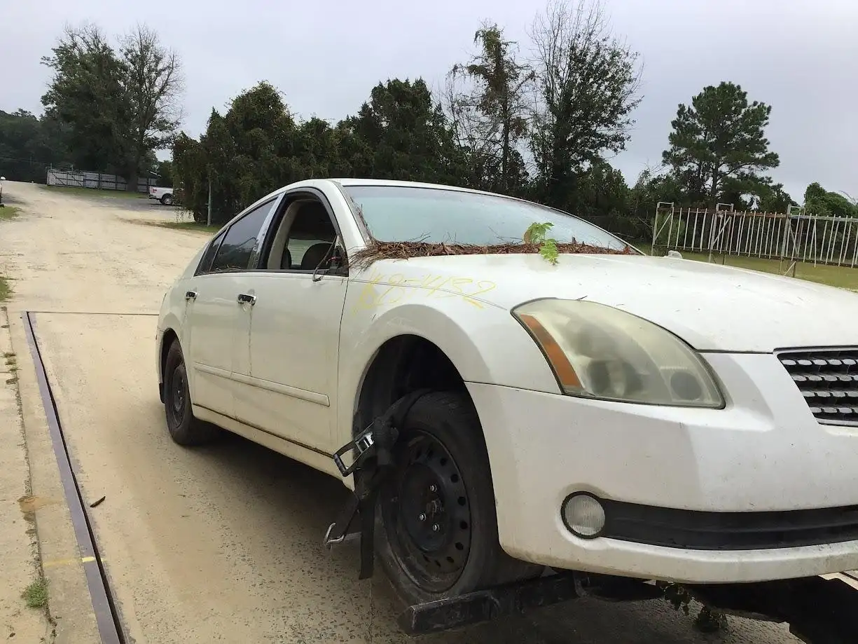 Photo of 2006 Nissan Maxima