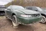 Photo of 2004 Ford Mustang